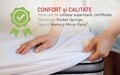 Saltea Endurance Pocket Memory 7 Zone de Confort 140x190 cm