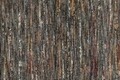 Covor rezistent Eko, ALT - Plain Green , 100% poliester,  80 x 300 cm