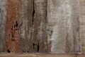 Covor rezistent Eko, EX 01 - Beige, Terra, 100% poliester, 80 x 150 cm