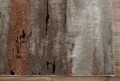 Covor rezistent Eko, EX 01 - Beige, Terra, 100% poliester, 80 x 150 cm