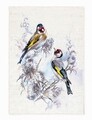 Covor Birds, Oyo Concept, 140x220 cm, poliester, multicolor