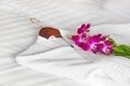 Halat de baie pentru SPA, Hotel Line Bedora,  marime universala, 100% bumbac, 220 gr/mp, alb