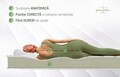 Saltea ortopedica, Green Future, Red Line, 160x190 cm, h 18 cm, spuma poliuretanica, reversibila, medie