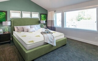 Saltea Super Ortopedica Aloe Vera Essential 160x200 cm, H 19 cm