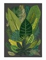 Covor Leaf, Oyo Concept, 80x140 cm, poliester, multicolor