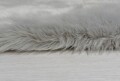 Covor din blana artificiala Sheepskin Grey, Flair Rugs, 160 x 230 cm, 100% acril, gri