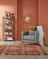 Covor Zane Terracotta, Flair Rugs, 120 x 170 cm, polipropilena, maro