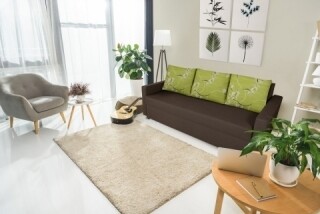 Ciocolata neagra, Maro/Verde