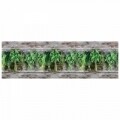 Covor rezistent Webtappeti Aromatica 58 x 115 cm, maro/verde