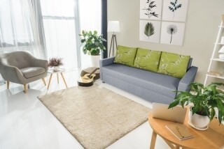 Gri, Grey Jasmine