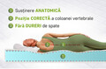 Saltea SuperOrtopedica Green Future KONFORTA Max Plus 25 cm, 160x200x25cm, Spuma poliuretanica elastica, Husa detasabila, lavabila, matlasata, hipoalergenica, Reversibila, Ferma