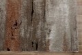 Covor rezistent Eko, EX 01 - Beige, Terra, 100% poliester,  80 x 300 cm