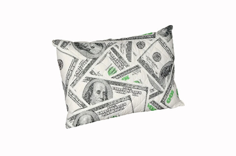 Perna Dollar Dream, microfibra matlasata Alcam, 50x70 cm