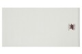 Set 2 prosoape de maini, Beverly Hills Polo Club, 401 - Cream, 50x90 cm, 100% bumbac, crem