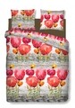 Lenjerie de pat dubla Poppies, Bedora, 4 piese, 180x200 cm, 100% bumbac, multicolor