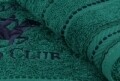 Set 2 prosoape de maini, Beverly Hills Polo Club, 50x90 cm, 100% bumbac, verde