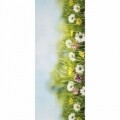 Covor rezistent Webtappeti CAMPO 58x115 cm, multicolor