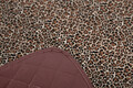 Cuvertura matlasata cocolino, Alcam, Leopard, 210x220 cm