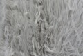 Covor din blana artificiala Sheepskin Grey, Flair Rugs, 160 x 230 cm, 100% acril, gri