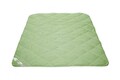 Set Bamboo Sense, 2 perne 50x70 cm si pilota matlasata 300g/mp, 180x200 cm