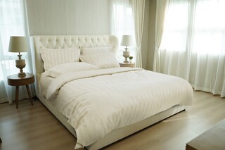 Ivory, 6 piese