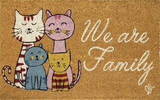40x65 cm, Multicolor, Family